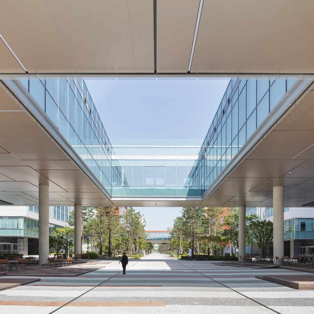 HOK_003