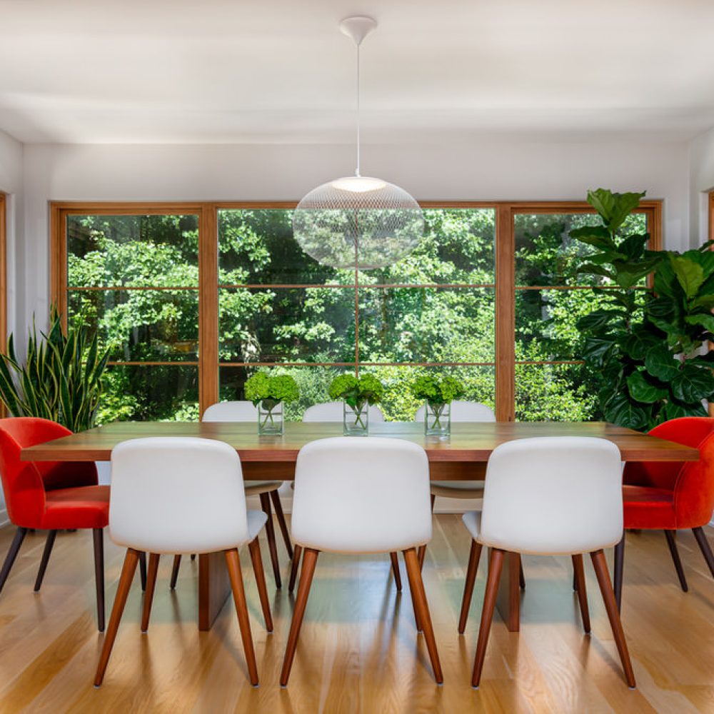 Jones-Pierce-urban-forest-mod-008