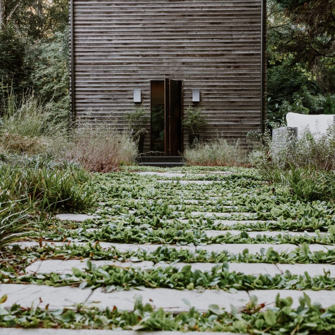 forest-house-adf-tour-2024-014