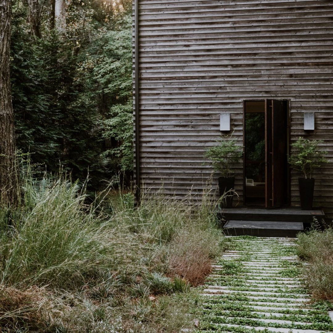 forest-house-adf-tour-2024-032