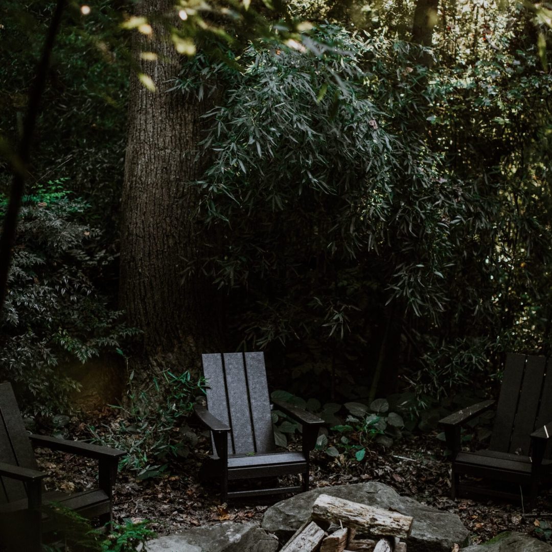 forest-house-adf-tour-2024-037