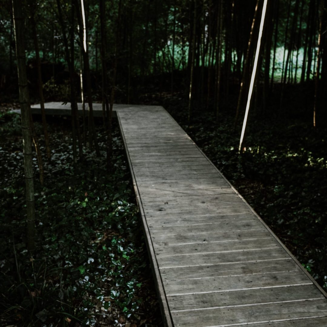 forest-house-adf-tour-2024-041
