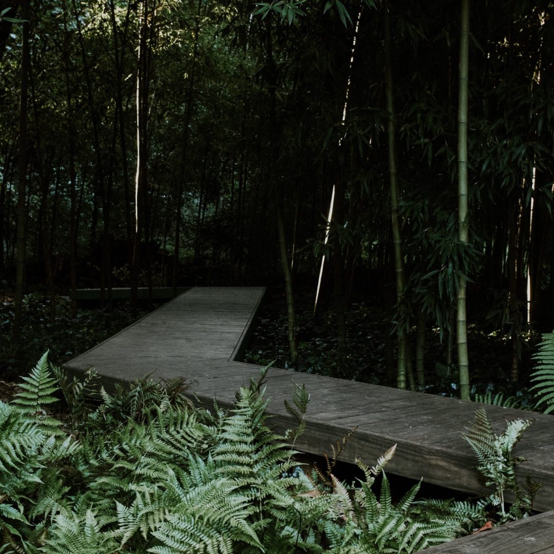 forest-house-adf-tour-2024-046