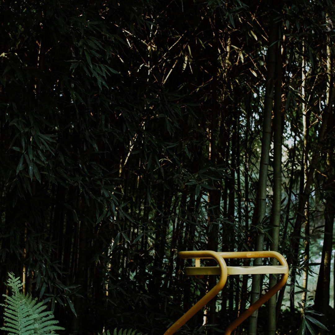 forest-house-adf-tour-2024-049