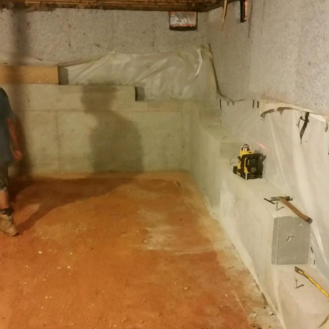 rhododendron-renovation-2018-023