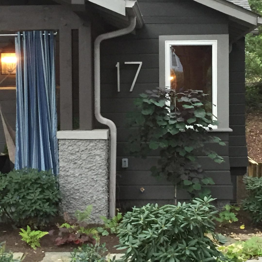 rhododendron-renovation-2018-024