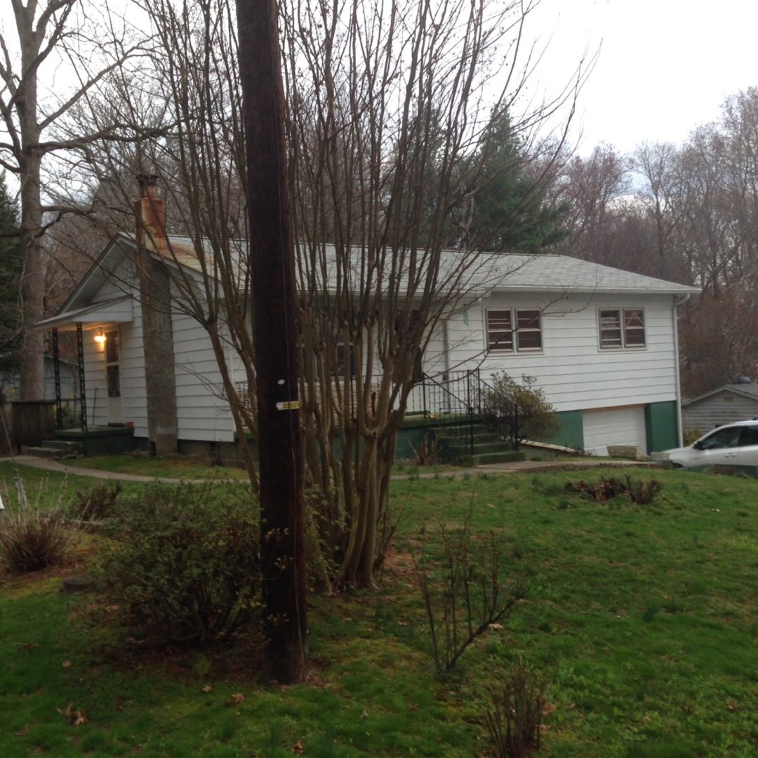 rhododendron-renovation-2018-029