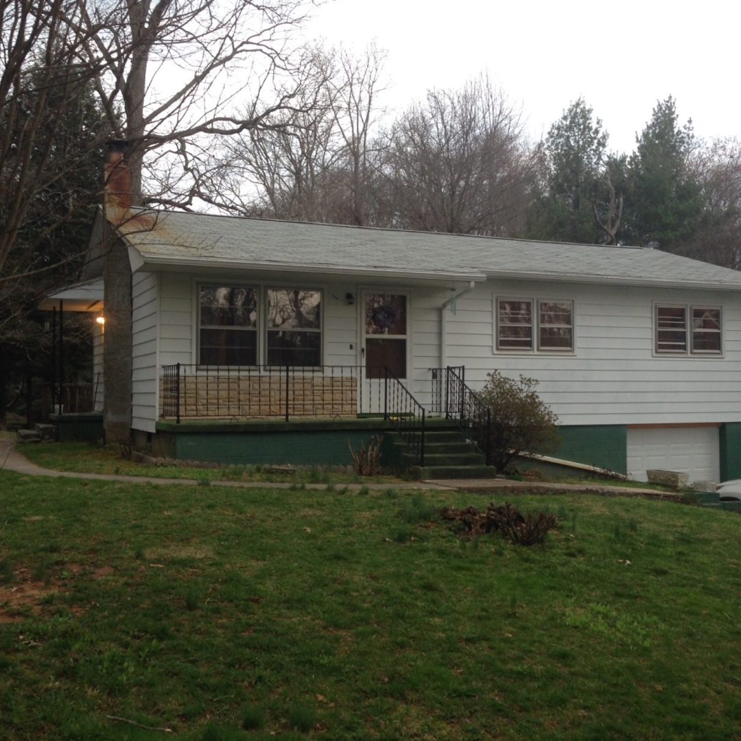 rhododendron-renovation-2018-030