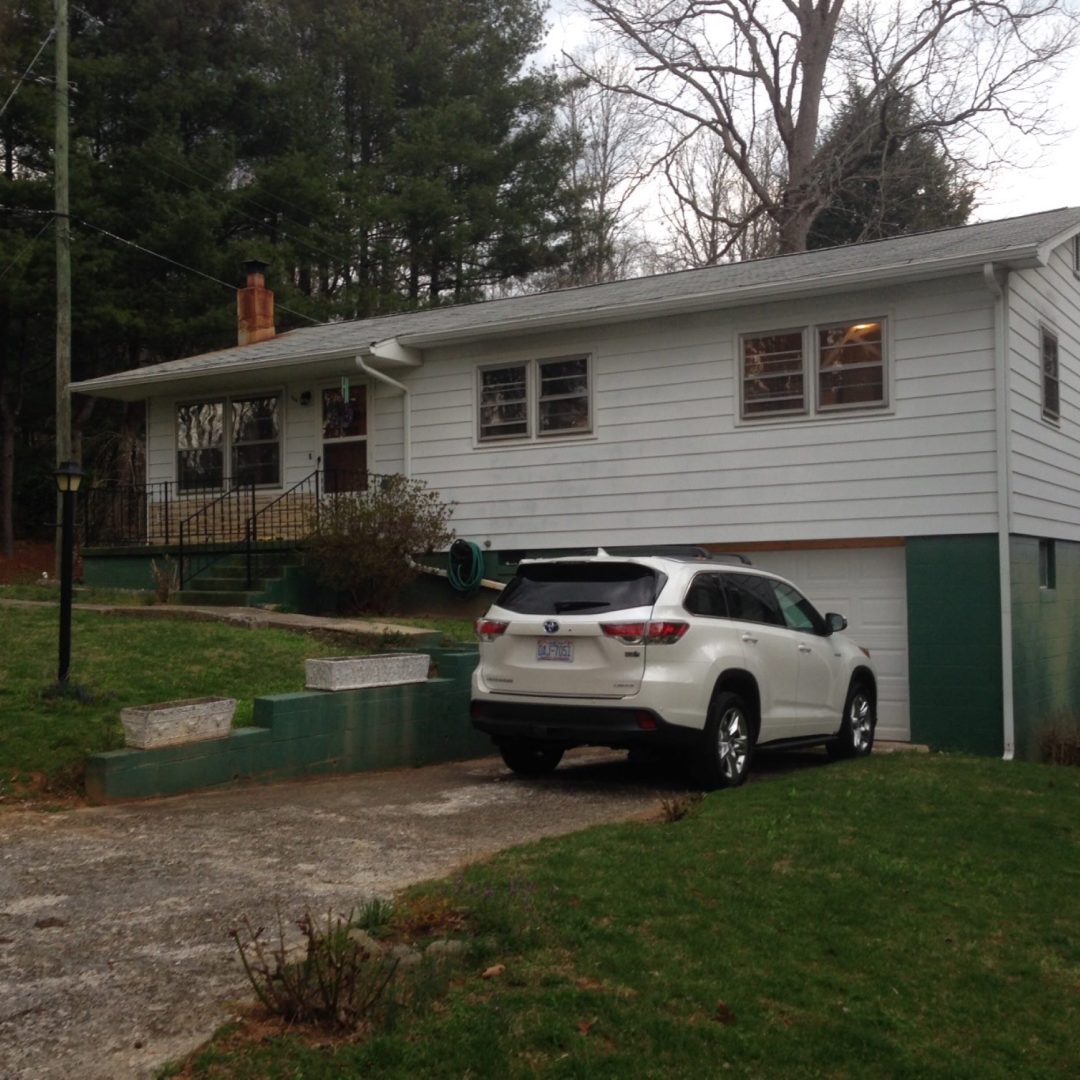 rhododendron-renovation-2018-031