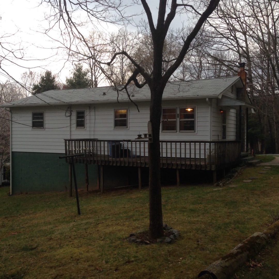 rhododendron-renovation-2018-033
